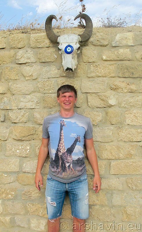 Tricoul cu GIRAFE facut celebru de Florin Costea a ajuns in Anglia! Nu o sa ghicesti cine il poarta :)_12