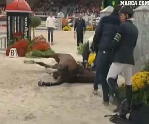 Imagini DRAMATICE! Cel mai bun cal din lume a murit in timpul unei competitii! Oamenii din public au inceput sa planga! VIDEO