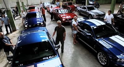 VIDEO: Ce&nbsp;se intampla cand aduni&nbsp;niste zeci de Mustanguri intr-o hala cu acustica pefecta?