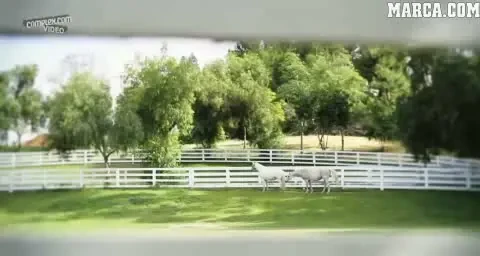 FOTO SUPER HOT! Cele 75 de FRUMUSETI din sport! Ele au atras atentia in 2011!