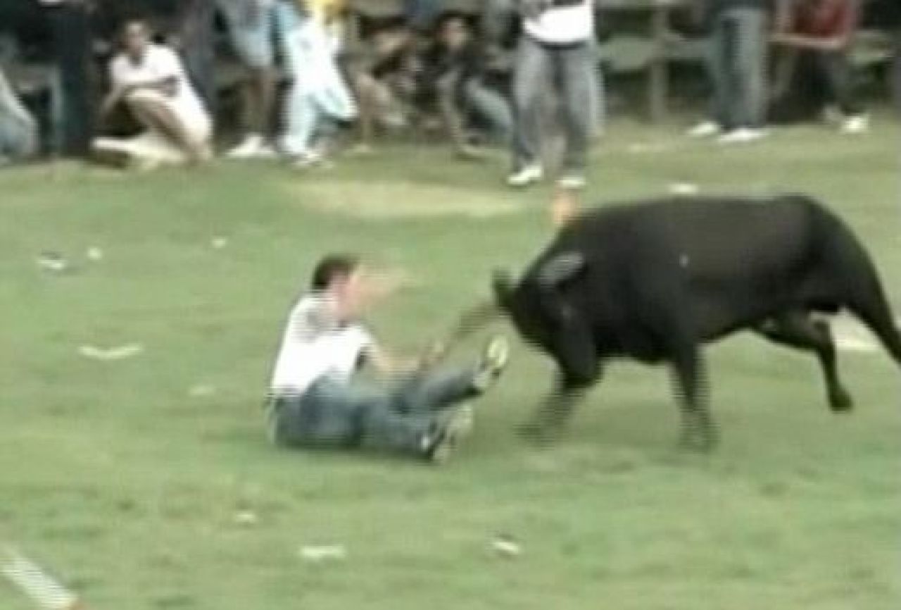VIDEO Cea mai SOCANTA sarbatoare de Craciun! Barbati BETI si DROGATI intra in ring cu tauri fiorosi! Sase raniti:_1