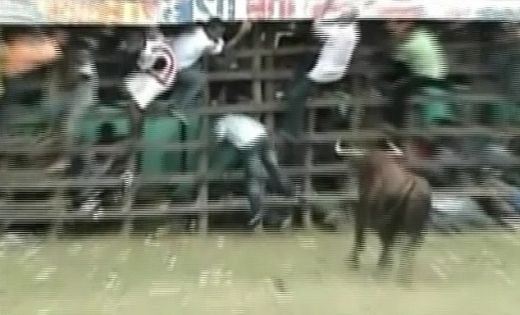 VIDEO Cea mai SOCANTA sarbatoare de Craciun! Barbati BETI si DROGATI intra in ring cu tauri fiorosi! Sase raniti:_3