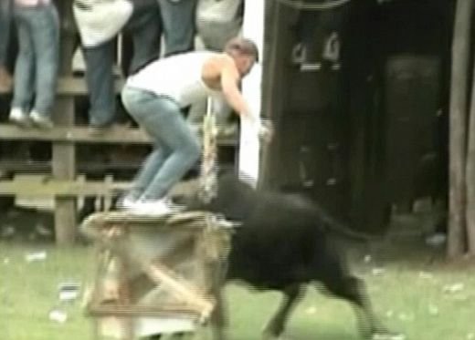 VIDEO Cea mai SOCANTA sarbatoare de Craciun! Barbati BETI si DROGATI intra in ring cu tauri fiorosi! Sase raniti:_4
