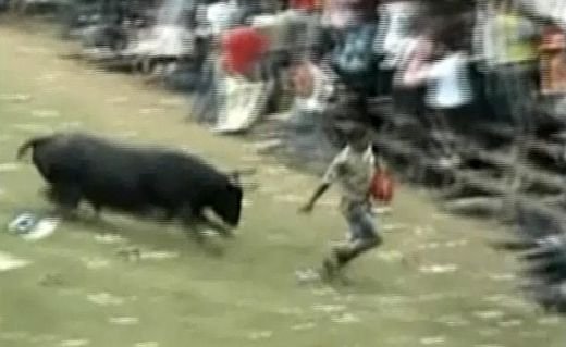 VIDEO Cea mai SOCANTA sarbatoare de Craciun! Barbati BETI si DROGATI intra in ring cu tauri fiorosi! Sase raniti:_5