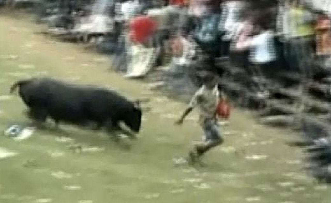 VIDEO Cea mai SOCANTA sarbatoare de Craciun! Barbati BETI si DROGATI intra in ring cu tauri fiorosi! Sase raniti:_5