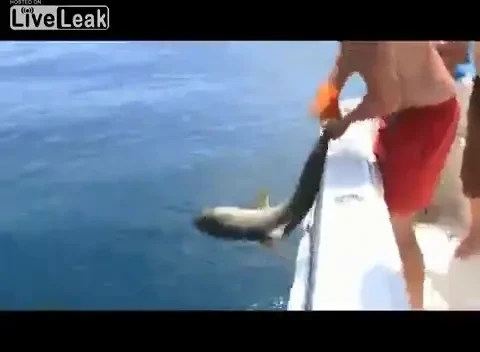 VIDEO: Cel mai PROST PESCAR din istorie! A prins un rechin si i-a bagat mana in gura. Ce crezi ca s-a intamplat? :)