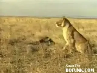 Cum se motiveaza Mirandes pentru Barcelona: Noi suntem niste porci, Messi e un leu, dar luati-o p-asta! VIDEO foarte tare