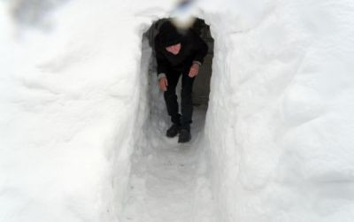 Becali NU VINE la Steaua - Twente: Am distrus codul portocaliu, nu ma intereseaza Steaua Porumboiu a trimis mancare pe 3 luni