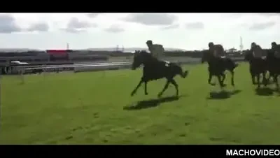 Aceste imagini iti vor rupe inima! Jocheul isi plange calul care a facut ATAC de cord in timpul cursei!