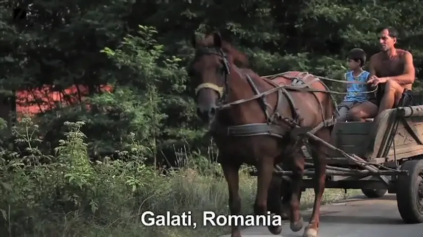 VIDEO Chuck Norris e ROMAN si are si un frate mai mic! :) Giuliano revine! Cum se antreneaza cel mai puternic pusti din lume: