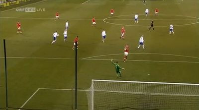 VIDEO FABULOS! Cea mai tare faza din amicale! Omul care a fugit de Steaua a dat gol cu penisul :)&nbsp;