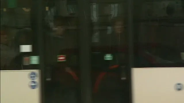 Dananae, Prepelita si Florin Costea, la DNA! Stelistii incep returul in fata procurorilor