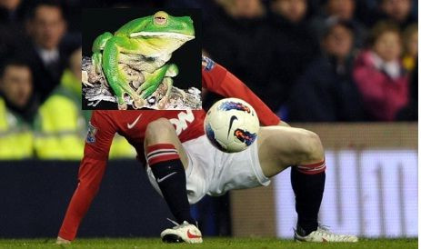 Un jucator de la Manchester United e acuzat ca a omorat MILIOANE de broaste: Sucul lor iti da putere