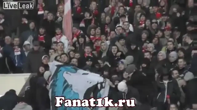 Coregrafia PERVERSA a fanilor din Rusia: Copiii si-au pus mana la ochi dar s-au uitat printre degete! SUPER VIDEO