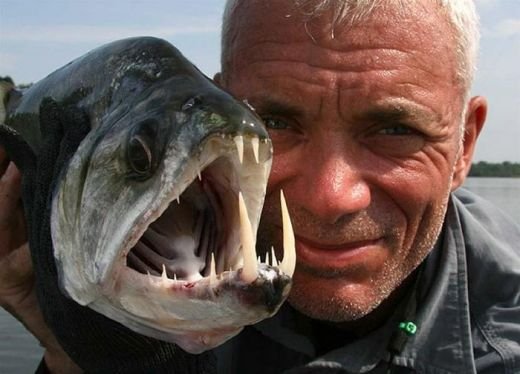 FOTO INCREDIBIL: Cei mai mari 20 de pesti din istorie, prinsi de un singur om! Un monstru de 220 kilograme a innebunit lumea!
