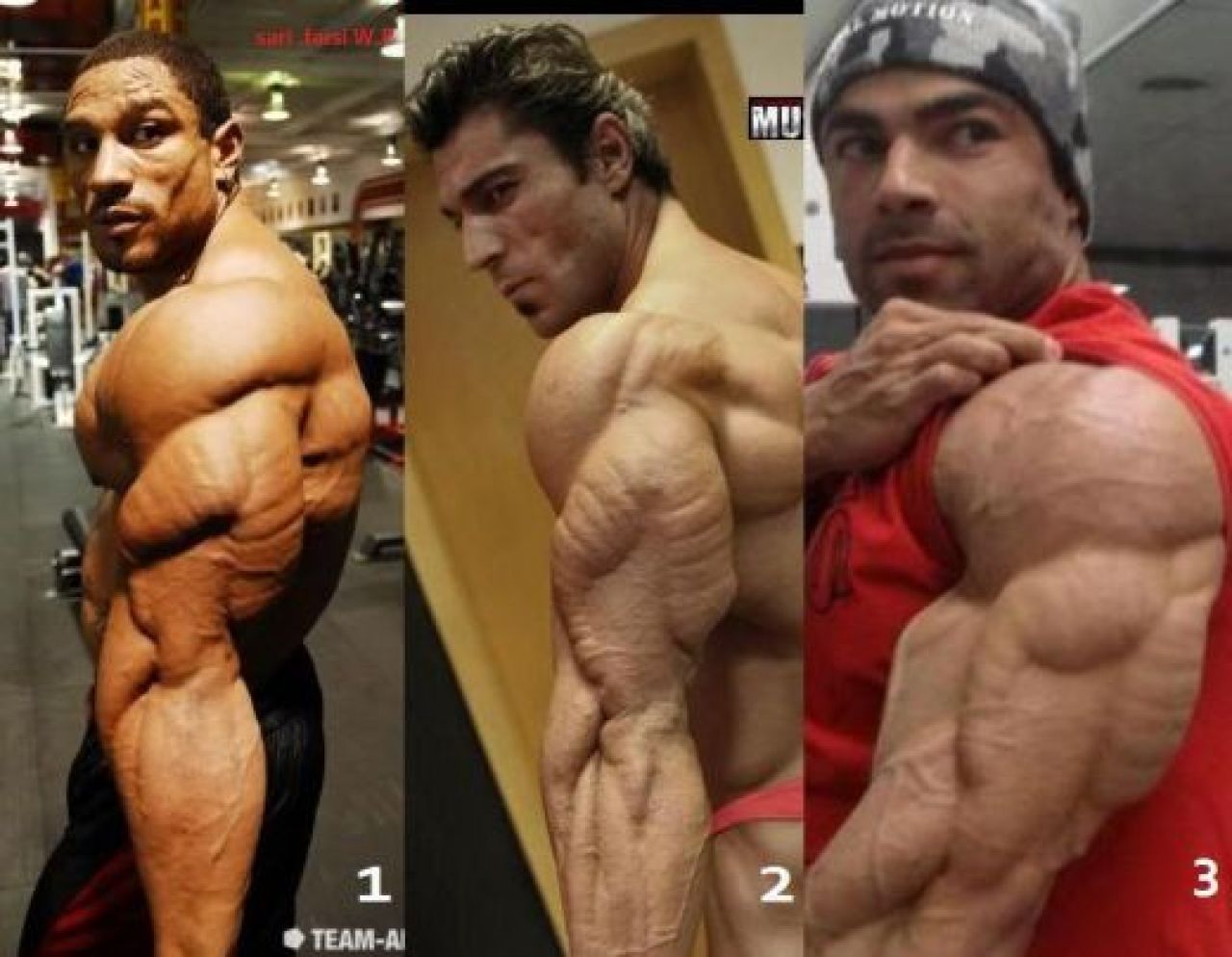 FOTO: Alege tricepsul care ti se potriveste! Antreneaza-te inteligent: 8 exercitii care iti fac bratele BETON!_8