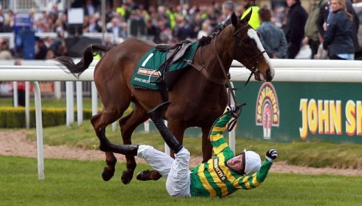 TRAGEDIE in Anglia! Doi cai au fost IMPUSCATI dupa cursa legendara de 165 de ani! Imagini cutremuratoare!_4