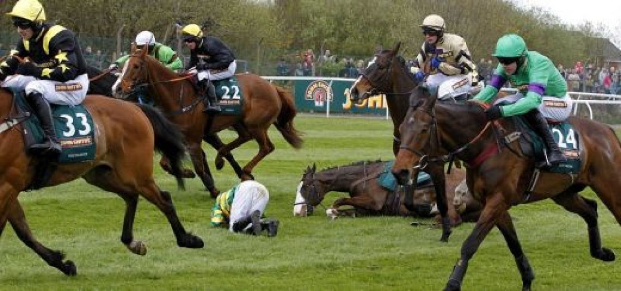 TRAGEDIE in Anglia! Doi cai au fost IMPUSCATI dupa cursa legendara de 165 de ani! Imagini cutremuratoare!_14