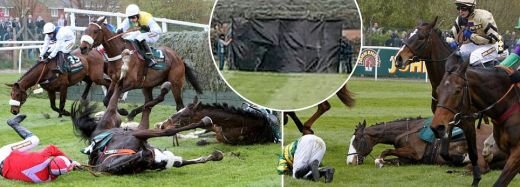 TRAGEDIE in Anglia! Doi cai au fost IMPUSCATI dupa cursa legendara de 165 de ani! Imagini cutremuratoare!_21
