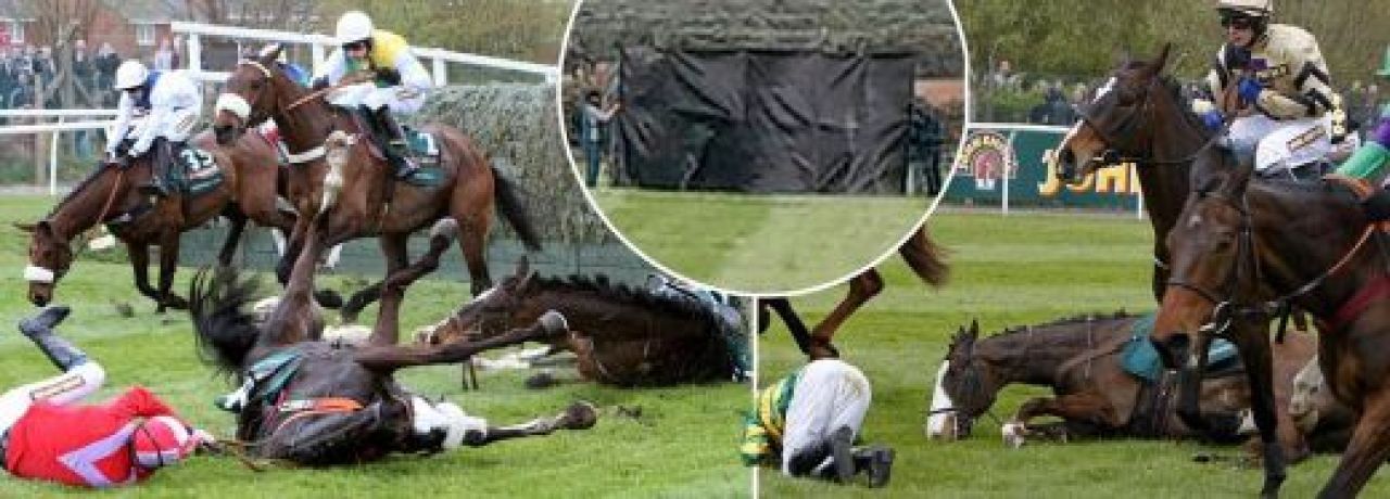 TRAGEDIE in Anglia! Doi cai au fost IMPUSCATI dupa cursa legendara de 165 de ani! Imagini cutremuratoare!_21