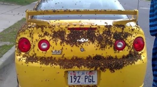AJUTOR. Nu mai pot cobora din masina Soferul unui Chevrolet a crezut ca face infarct cand si-a gasit masina asa! FOTO