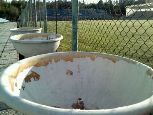 Parcul cu bastani! Stadionul Cotroceni e mancat de rugina si serpi, nocturna 
