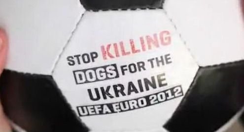 VIDEO: Ucraina a inceput CURATENIA pentru Euro 2012: OMOARA toti cainii de pe strazi! Nemtii au inventat o campanie GENIALA pentru oprirea masacrului: