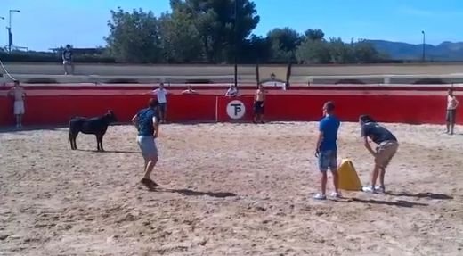 Un fotbalist pasionat de corida si un pui de taur: Noroc ca nu avea coarne ca il facea de comanda! Vezi cine e curajosul :)