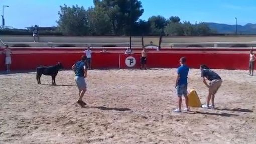 Un fotbalist pasionat de corida si un pui de taur: Noroc ca nu avea ...