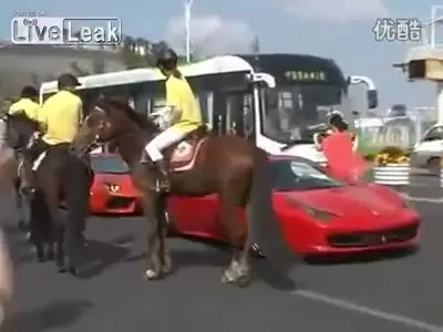 VIDEO: Un cal putere, mai tare decat 500! Proprietarul acestei super masini a innebunit: un cal i-a luat la suturi Ferrari-ul :)