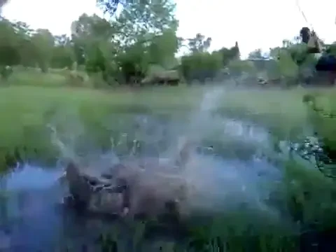 VIDEO: E prost de da in balti! A vrut sa-l imite pe Tarzan dar si-a mutat nasul la spate! Vezi ce a patit: