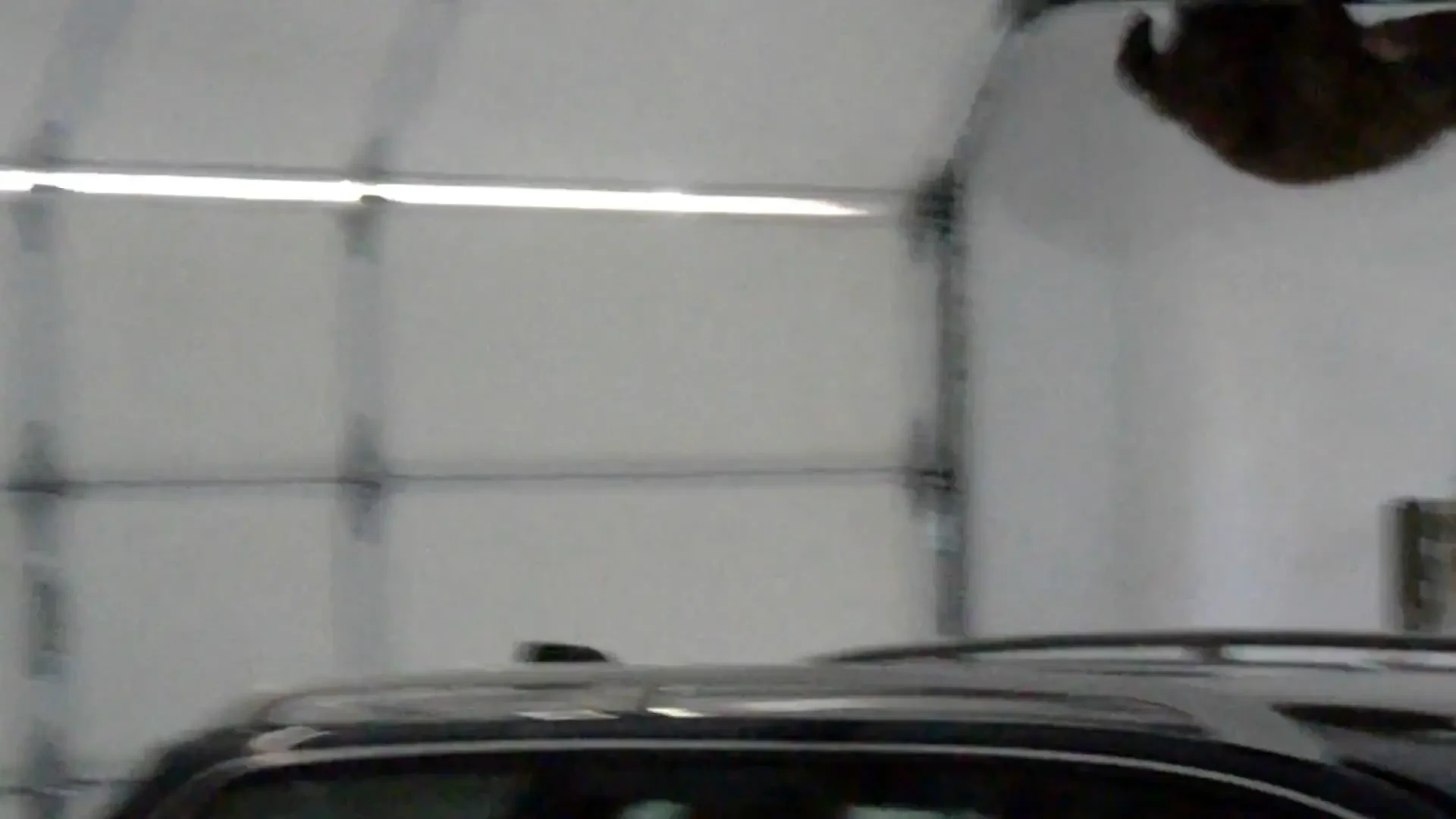 VIDEO: Un ursulet innebunit dupa Audi face spectacolul vietii intr-un garaj!