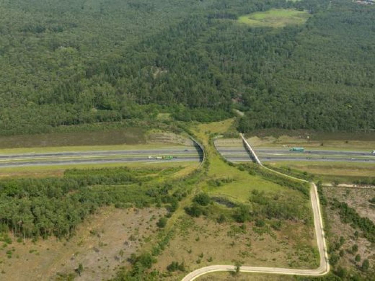 FOTO: Podurile naturale care salveaza vietile a milioane de soferi: Doar doua tari din Europa s-au gandit la asta!_6