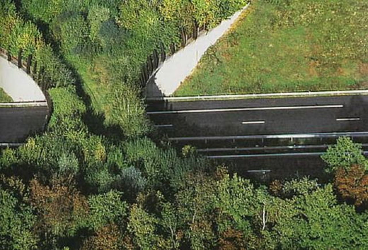 FOTO: Podurile naturale care salveaza vietile a milioane de soferi: Doar doua tari din Europa s-au gandit la asta!_8
