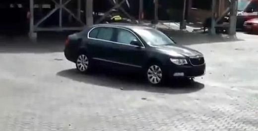 VIDEO: Executie in stil mafiot sau ucisa de lege? Nu vrei sa vezi ce a patit Skoda asta!