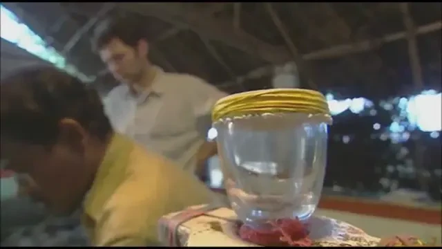 Sarpele asta te omoara PE LOC! Cum se transforma sangele in contact cu o picatura de venin: VIDEO