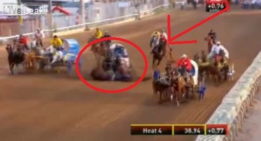 Trei cai MORTI dupa prima zi a unei curse INFIORATOARE! Vezi cum se distreaza canadienii: VIDEO