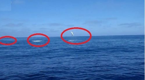 Doi pescari au crezut ca au halucinatii cand au vazut acest spectacol bizar: Dumnezeule, ce se intampla?? Filmeaza asta