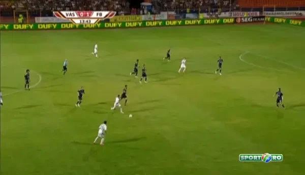 Vaslui 1-4 Fenerbahce GOL Niculae