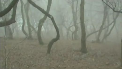 Ingheti de frica daca vezi ce se intampla aici! Un loc misterios din Romania care iti da fiori reci: 