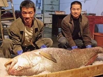 ULUITOR! Captura anului! Un chinez a dat lovitura ca la LOTO! Pestele care l-a IMBOGATIT!
