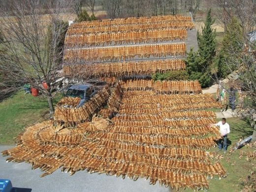 Te vei revolta in fata acestei imagini de o CRUZIME inimaginabila: Dupa ce vezi ce inseamna o sa te cutremuri! FOTO INFIORATOR: