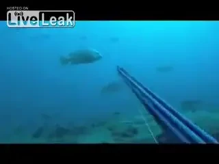 VIDEO Surpriza IMENSA in adancuri! A prins un peste cu mainile, dar a fost ATACAT pe neasteptate! Cea mai tare faza pe sub ape: