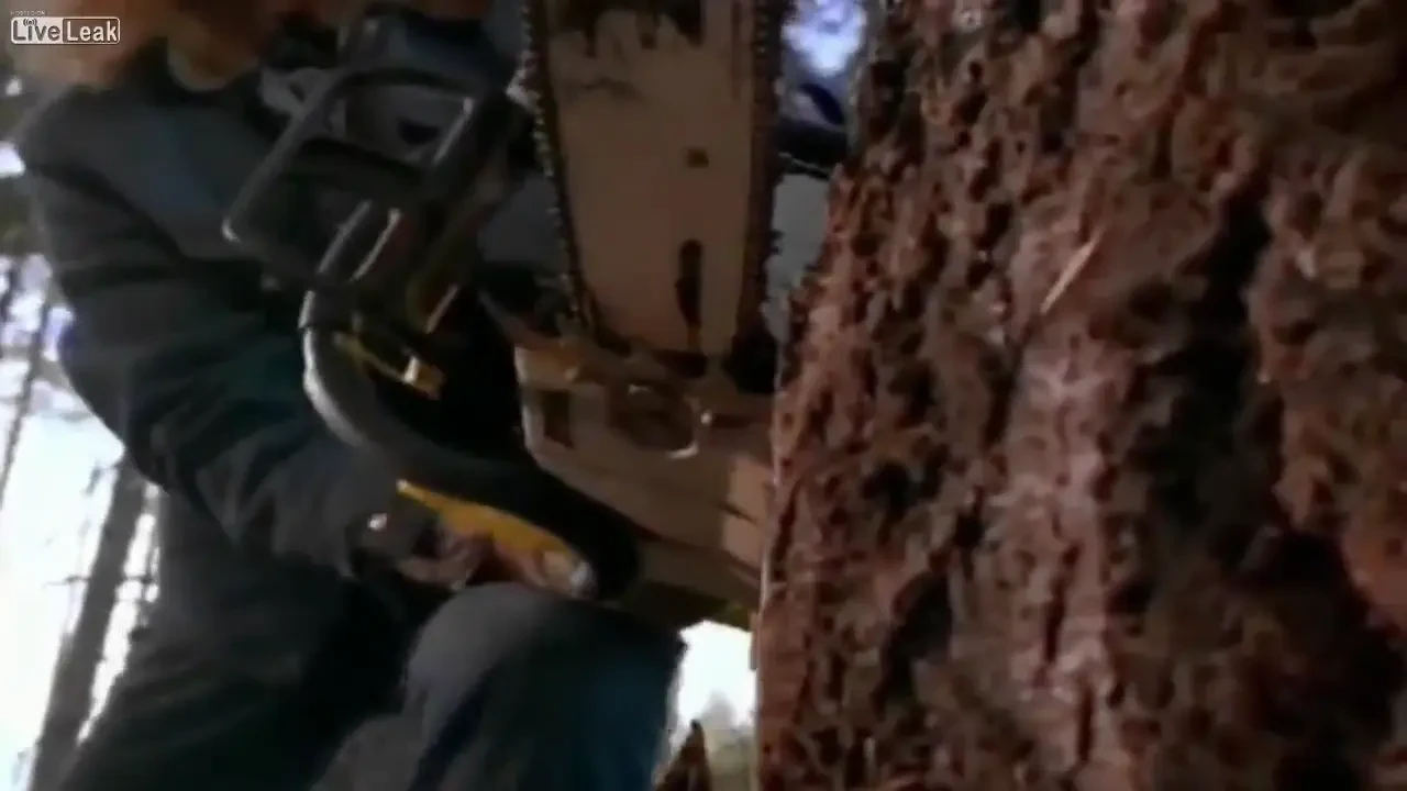 VIDEO Absolut GENIAL! Nimic nu-l opreste pe Chuck Norris! Vezi cum opreste o DRUJBA cu mainile goale! :))