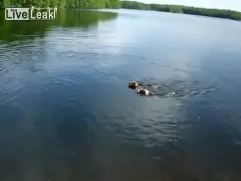 VIDEO Nebun sau GENIU? Metoda INCREDIBILA de a prinde pesti intr-un lac! Asa ceva nu s-a mai vazut pana acum: