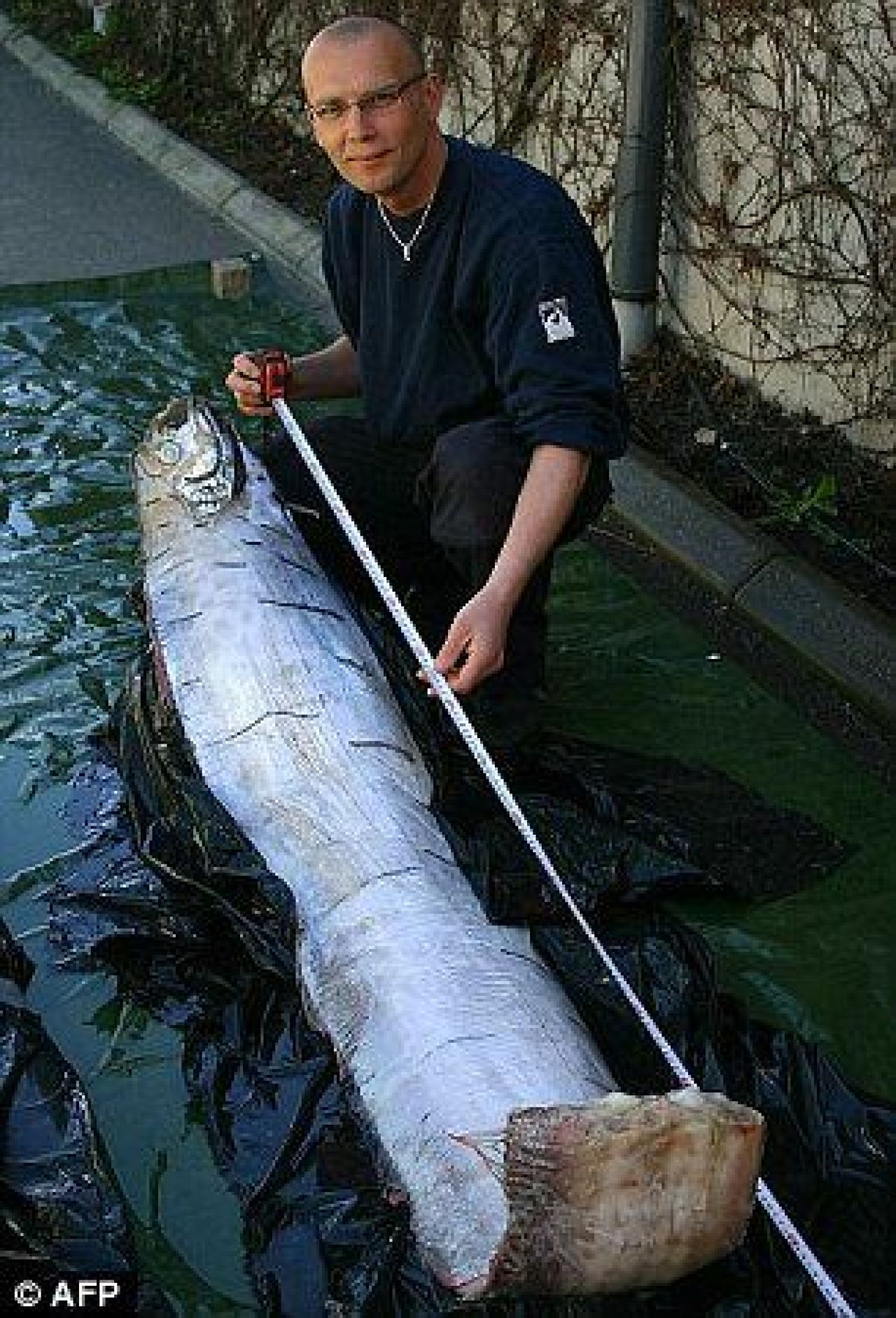 Aparitie SOCANTA pe plaja! Localnicii sunt ingroziti! Un MONSTRU care traieste la 1000 de metri sub apa a iesit pe uscat! FOTO:_2