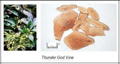 Leacul MIRACULOS care te scapa de CANCER in 40 de zile: