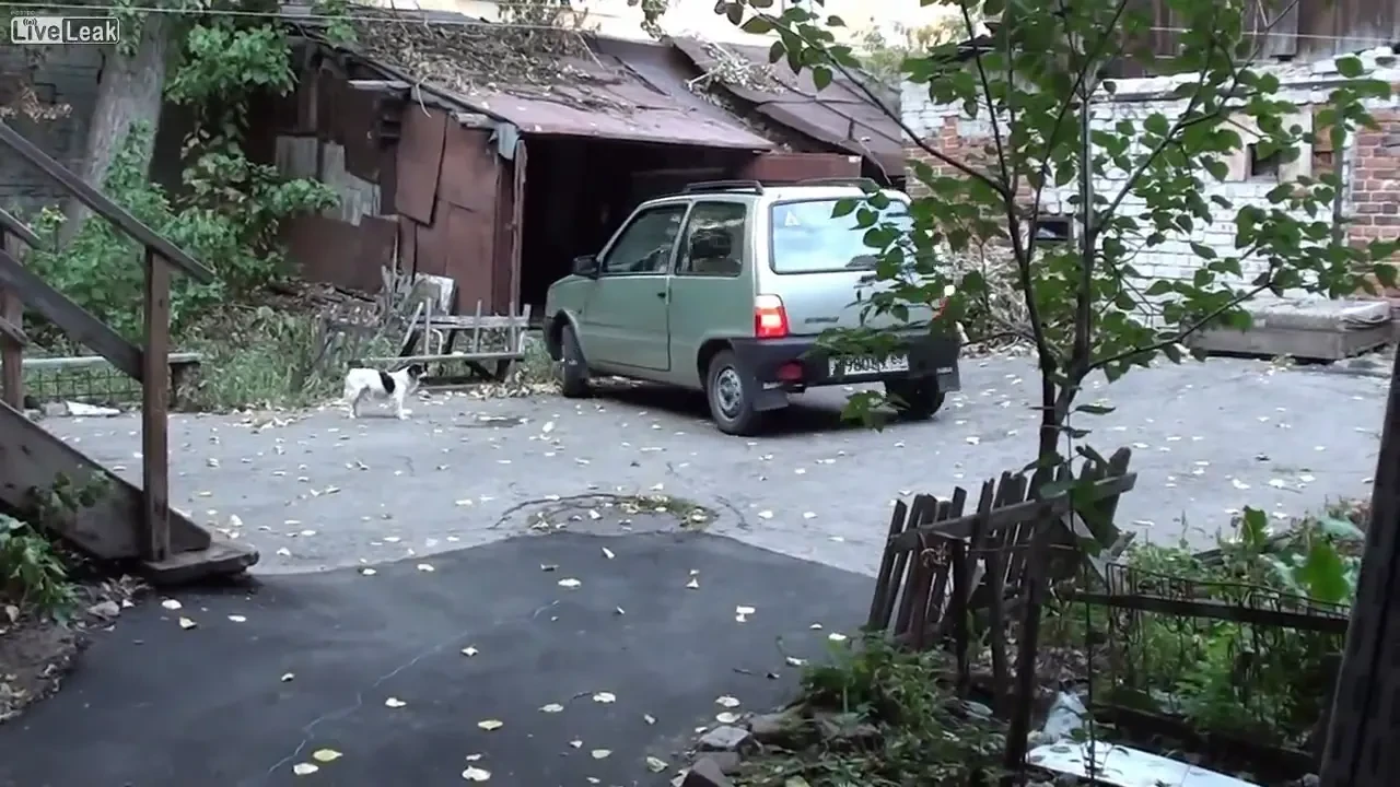 VIDEO FEMEIE la volan! Cat de greu e sa bagi o masina in garaj? Misiune IMPOSIBILA pentru ea: