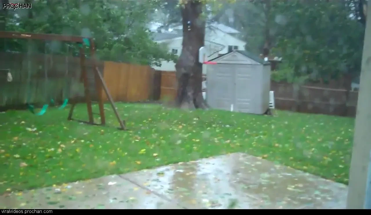 VIDEO Imagini ULUITOARE! Cum a fost SMULS un copac din radacina de Uraganul Sandy! "L-am crescut 50 de ani!"