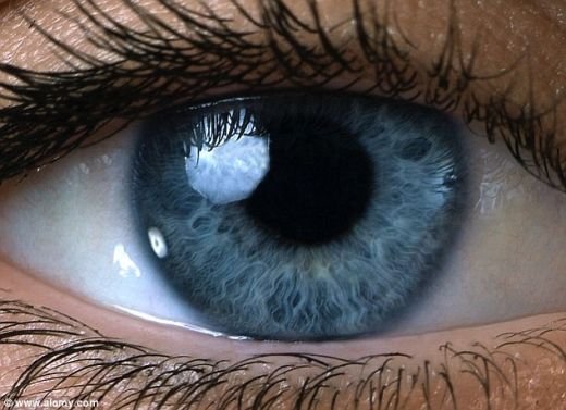 Super ILUZIE OPTICA! N-o sa-ti vina sa crezi ce e in imaginea asta! Mareste poza ca sa ramai MUT de uimire!